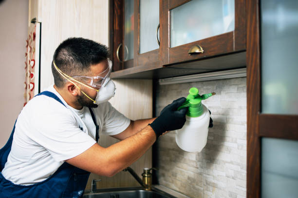 Best Pest Removal Services  in Ship Bottom, NJ